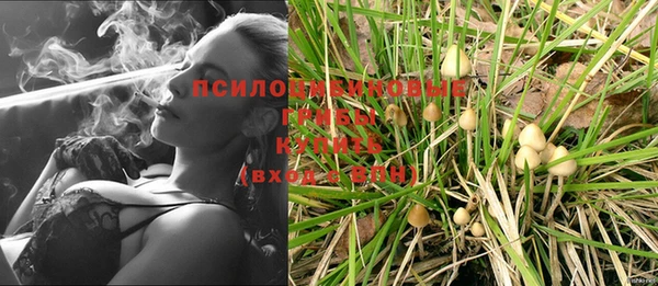 молекула духа Костерёво