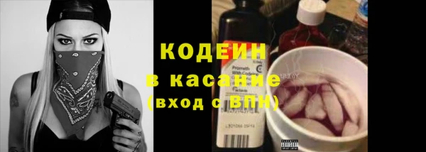 молекула духа Костерёво