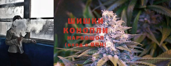молекула духа Костерёво