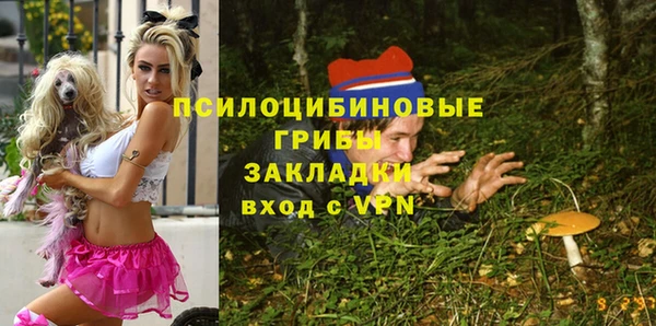 молекула духа Костерёво